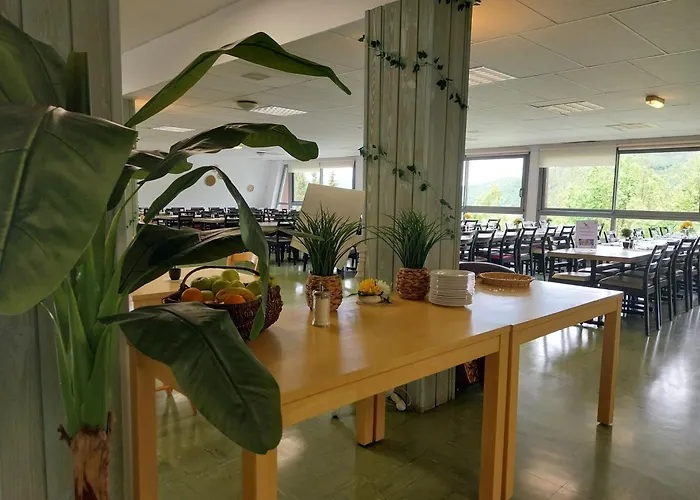 Vvf Le Lioran Les Monts Du Cantal 3*